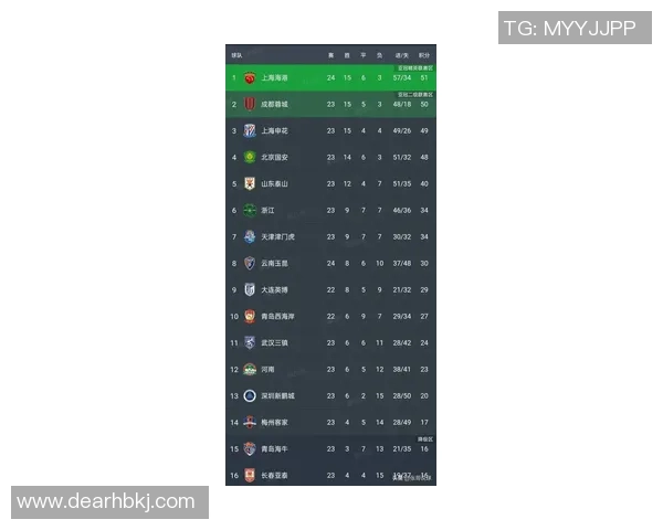 上海排球队在联合会杯积分榜上以51分稳居第一名