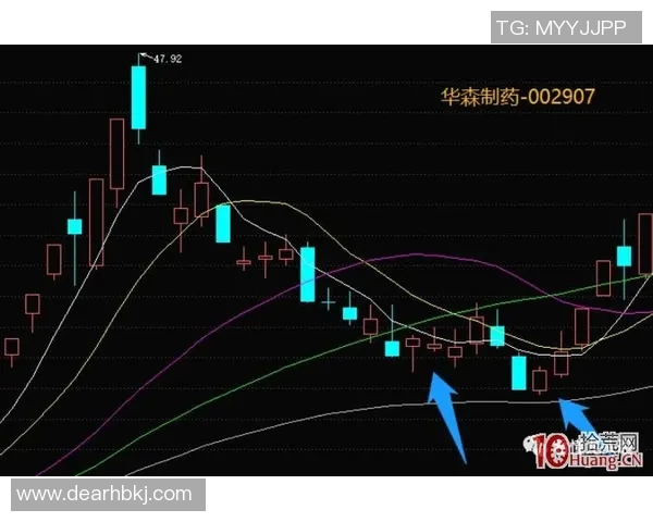 北京网球队运营分析：成功经验与面临挑战的深度探讨