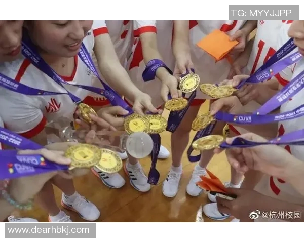 杭州排球队个人能力分析与整体表现评估